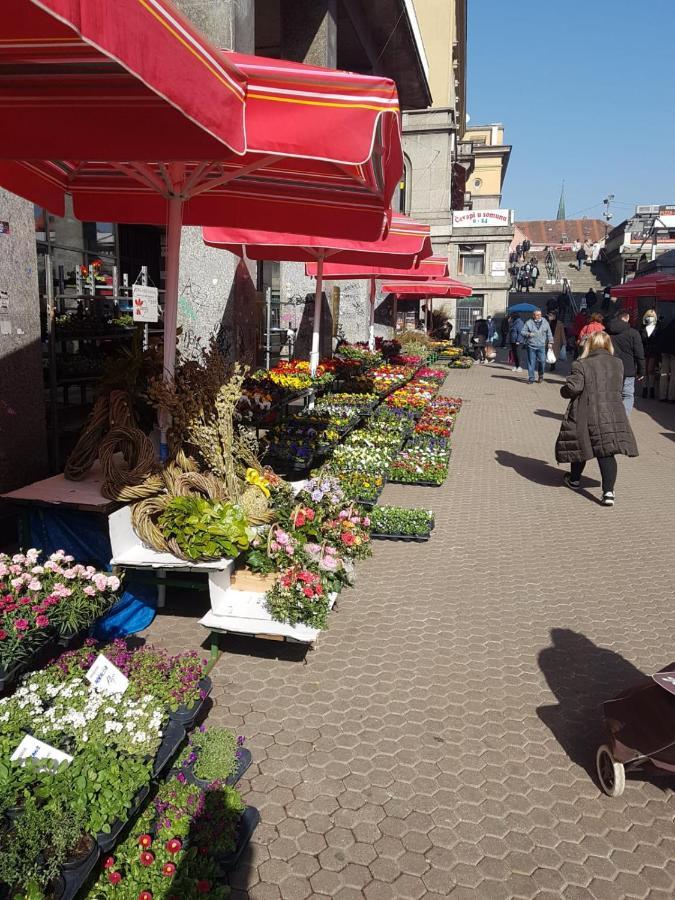Bed & Breakfast Sky City Center Zagreb Extérieur photo